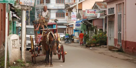 Hãy tung bay bạt gió