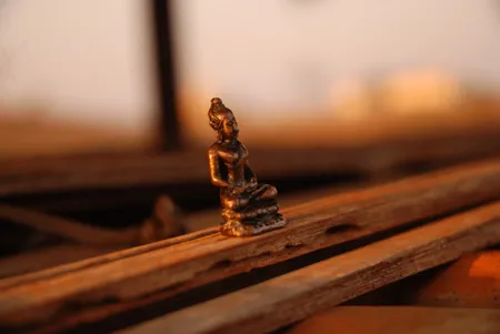 Hành thiền là tự động viết hay?