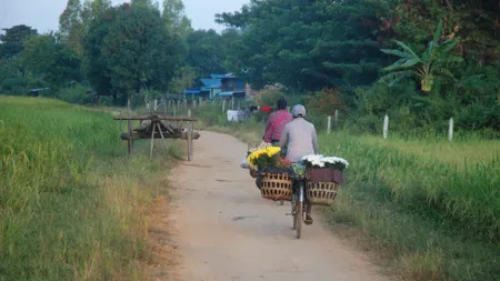 Niềm vui đạp xe đi làm